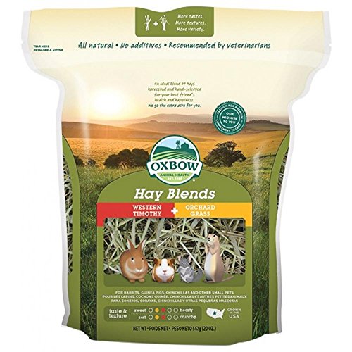 Petlife Oxbow - Mezcla de heno Timothy y Orchard (1.1kg) (Variado)