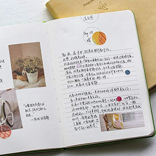 planificador diario   2020 Horario diario Este horario Horario Horario Manual Libro-Calendula planificador diario