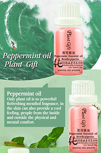 Plant gift The Best Peppermint Essential Oil, 100% menta de aceite esencial puro. La hierbabuena le da una sensación refrescante. Refresca el aire, o alivia los problemas digestivos.-10ML / 0.35OZ