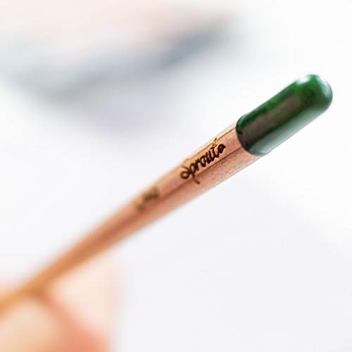 ¿Plantas de lápices? Exactamente – una vez que su lápiz Sprout ya no es adecuado para pintar, dibujar o escribir, puede plantarlo en una maceta, en el balcón o en su jardín y verlo mientras crece.