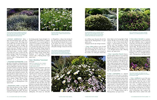 Planting Design for Dry Gardens: Beautiful, Resilient Groundcovers for Terraces, Paved Areas, Gravel and Other Alternatives to the Lawn