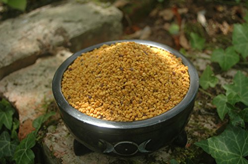 Polen de abeja 2x500g (1 Kg)