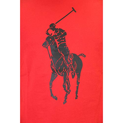 Polo Ralph Lauren Camiseta Big Pony Player 796092-004 (Medium)