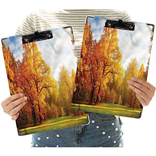 Portapapeles para decoración de paisaje, perfil bajo, colorido bosque, vigas de sol, portapapeles de oficina con clip de perfil bajo para estudiantes, enfermera, clase, oficina, uso