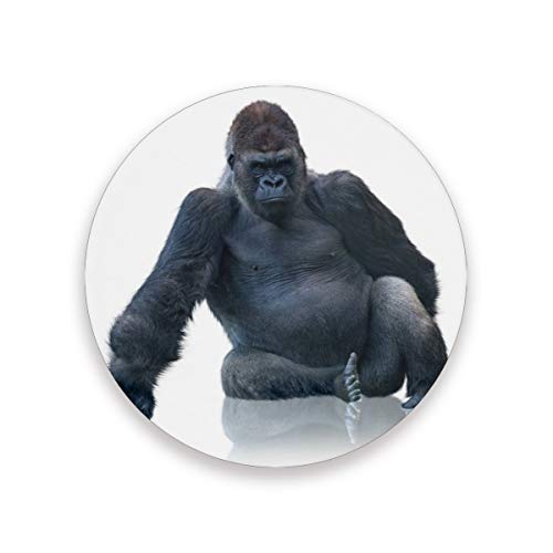 Posavasos de cerámica absorbente de color negro con diseño de gorila redondo, para bebidas, café, tazas, juegos para el hogar, oficina, bar, cocina (juego de 1), cerámica, multicolor, Set of 1