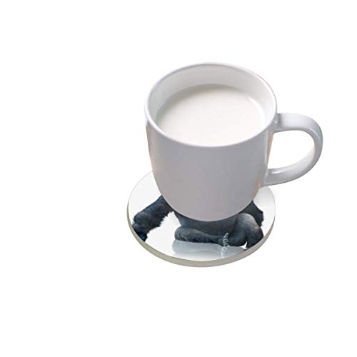 Posavasos de cerámica absorbente de color negro con diseño de gorila redondo, para bebidas, café, tazas, juegos para el hogar, oficina, bar, cocina (juego de 1), cerámica, multicolor, Set of 1