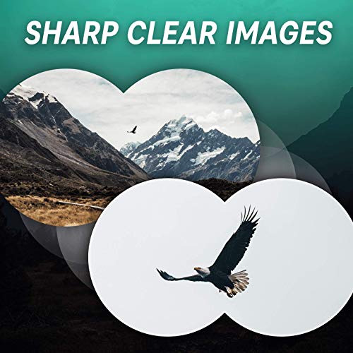 Prismáticos 8x32 Slokey – Súper Ligeros, Pequeños y Compactos con Óptica Superior para Imágenes Súper Nítidas y Brillantes en HD. Ideales para Observar Aves, Excursiones, Turismo, Eventos Deportivos…