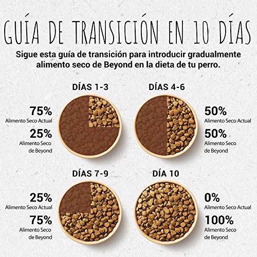 Purina Beyond Pienso Natural para Perro Adulto Cordero y Cebada Integral 6 x 1,4 Kg