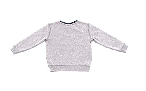 Ralph Lauren - Sudadera para niño (talla pequeña), color gris