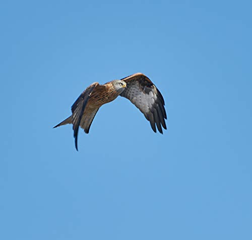 Reasonable Man | Spa Treatments, Awakening Sounds, Asian Zen Spa Music