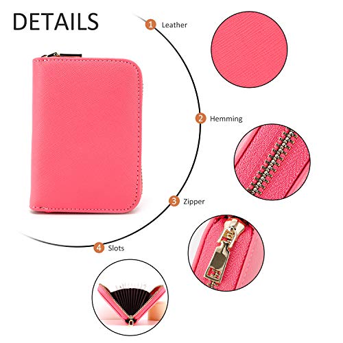 RFID Crédito Tarjetero, Monedero Multifuncional de con Cremallera para Mujer Hombre, Caja de Regalo (Rosado)