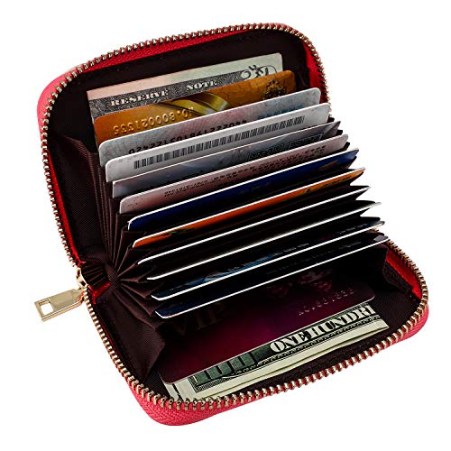 RFID Crédito Tarjetero, Monedero Multifuncional de con Cremallera para Mujer Hombre, Caja de Regalo (Rosado)