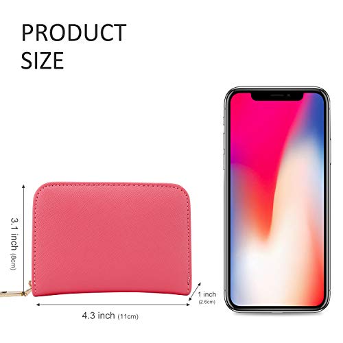 RFID Crédito Tarjetero, Monedero Multifuncional de con Cremallera para Mujer Hombre, Caja de Regalo (Rosado)