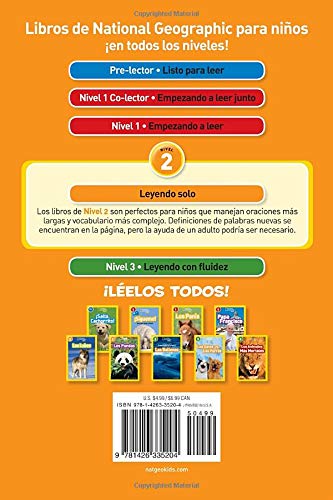 Rocks & Minerals (L2, Spanish) (National Geographic Readers)