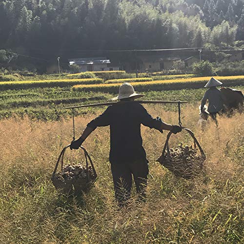 Rodajas de jengibre confitado – 500g