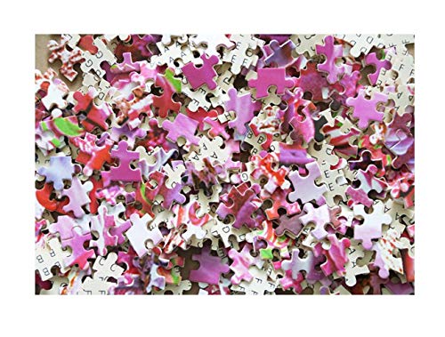 Rompecabezas de 1000 piezas Manada de jirafas Masai Rompecabezas para niños de 5 a 11 años de edad Colorido