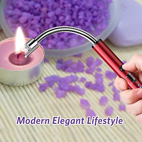 Ronxs - Mechero electrónico sin llama con indicador LED de batería, recargable, USB, resistente al viento y a la intemperie, para cocina, barbacoa, velas, mechero, cocina de gas