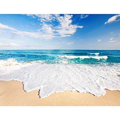 Runa 9007010C Papel pintado fotográfico XXL, imagen del mar, de vellón, para la pared, 308 x 220 cm, ¡100 % fabricado en Alemania! -, c, 308 x 220 cm - 7 Bahnen