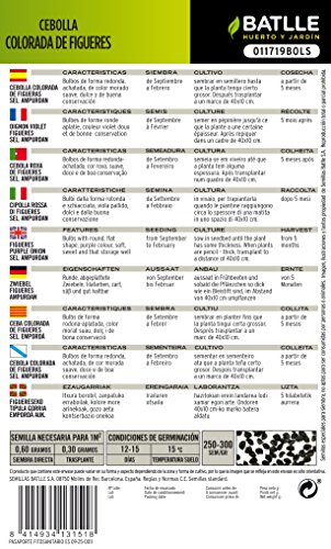 Semillas Hortícolas - Cebolla Colorada de Figueras sel. Ampurdan - Batlle