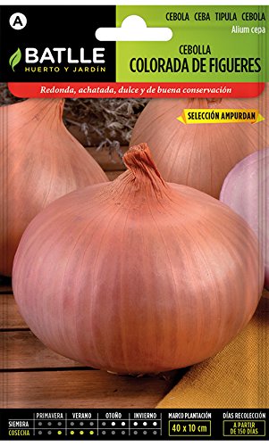 Semillas Hortícolas - Cebolla Colorada de Figueras sel. Ampurdan - Batlle