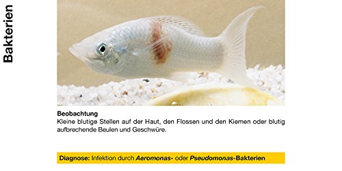 Sera Baktopur 100 ML XXX