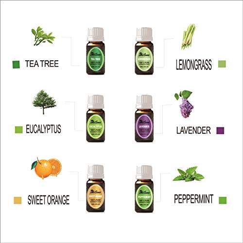 Set de aceites esenciales-DALEME de grado terapéutico TOP6 100% puro aromaterapia aromática Lavanda/Hierba de Limón/Menta/Eucalipto/Árbol de té/Naranja dulce para Humidificador y Difusor Aroma