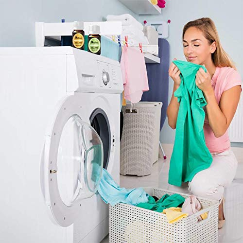 Set de aceites esenciales-DALEME de grado terapéutico TOP6 100% puro aromaterapia aromática Lavanda/Hierba de Limón/Menta/Eucalipto/Árbol de té/Naranja dulce para Humidificador y Difusor Aroma