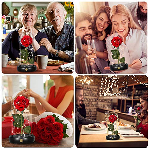 shirylzee Rosas Bella y la Bestia, Kit de Rosa Encantada, Regalos para Día de Navidad, San Valentin, Cumpleaños, Boda, Aniversario, Magicos Decoración Elegante Cúpula de Cristal con Base Pino Luz LED