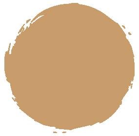 Shiseido Radiant Lifting Foundation SPF 15 - # B60 Natural Deep Beige 30ml