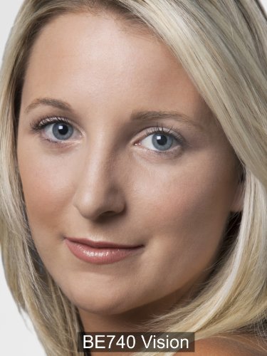 SHISEIDO SMK PERFECT ROUGE RD142