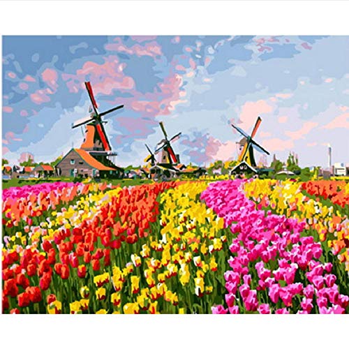 (Sin Marco) Pintura por Números para Adultos Niños DIY Oil Painting Cuadro Tulipán Y Molino De Viento Personalidad Artística Casual Juego Divertido Juguete Adecuado para Amigos De La Familia