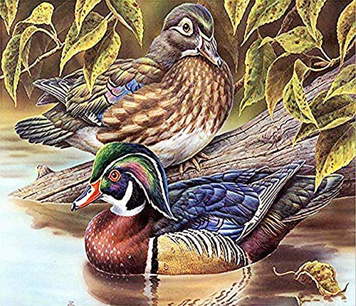 SKYZAHX Pintura de Diamantes 5D Agua de Mandarin Duck Creek Kits de Pintura de Diamantes para Adultos,Bordado Full Drill CraftDecor Kits de Punto de Cruz(30x40cm)