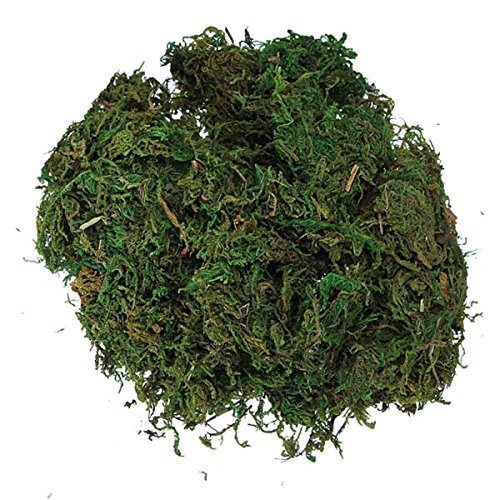 SODIAL Musgo de reno artificial verde para decorar la guirnalda de flor de planta