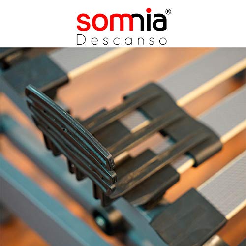 SOMNIA - Cama Articulada Eléctrica Artimedic | Reforzada | 5 Planos | Suspensiones de Hytrel | Fabricado En España (105x190)