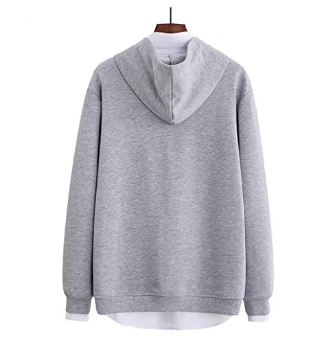 Sudadera básica con capucha para hombre, personalidad, moda, sudadera, para hombre, tiempo libre, sudadera, Oversize, hombre, primavera, sección fina con cremallera, uso diario, NY-706 gris XXXL