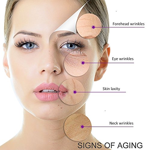 Suero elevador antiarrugas al veneno de la víbora 30 ml - Epidermis Tensor Efecto Cara escote cuello - Lifiting instantáneo - Anti-envejecimiento - Serum Anti Age - Serum crema para hombres y mujeres