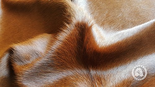 Sunshine Cowhides Alfombra de Piel de Vaca Marrón 190 x 160 cm Pieles del Sol