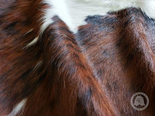 Sunshine Cowhides Alfombra de Piel de Vaca Tricolor 190 x 160 cm Pieles del Sol