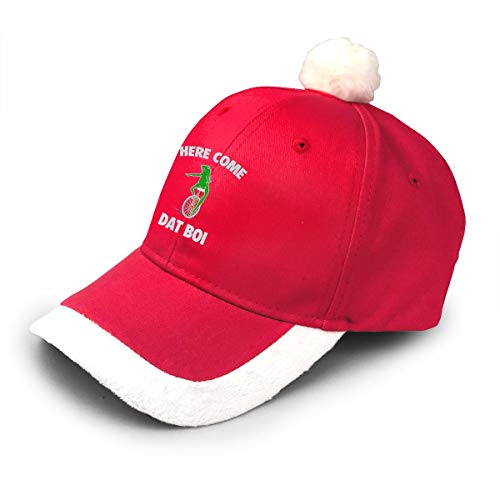SYDIYIWL Dat Boi Here Come Frog Monociclo Lindo Navidad Sombreros Santa Sombreros Para Navidad Disfraz Decoración Fiesta