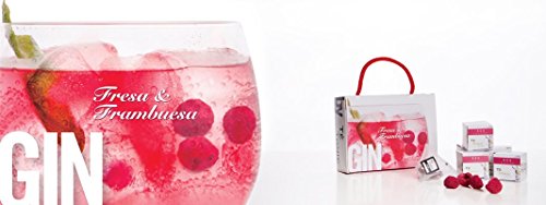 Té Tonic Experience – Minipack infusiones Fresa & Frambuesa para Gin & Tonic