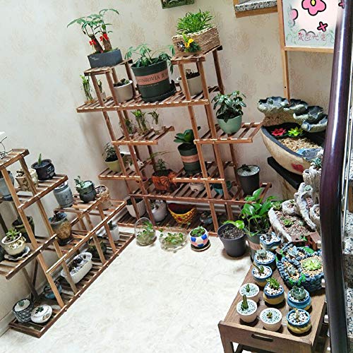 TELLW - Piedras para plantar suelos nutritivos tipo general de perlita para varias carnes, piedra vermiculita volcánica y perlita