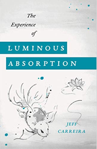 The Experience of Luminous Absorption: The Foundation of Spiritual Life (English Edition)