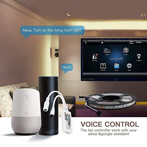 Tira LED WiFi de 2 m para Alexa/Google Home, Aplicación de teléfono inteligente controlada 5050 Impermeable Tira de luz RGB con Control Remoto para Decoración del Hogar