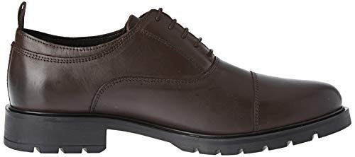 Trussardi Jeans Logo, Zapatos de Cordones Derby para Hombre, Marrón (Dark Brown B220), 45 EU