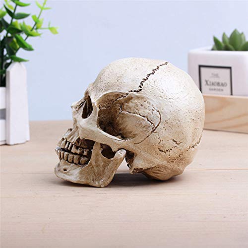 TURZJH Estatua Esculturas de Resina de Calavera Artificial artesanía decoración de Halloween Decoraciones de Fiesta de Bricolaje Barra de café Bar Decoraciones de Mesa, TG3