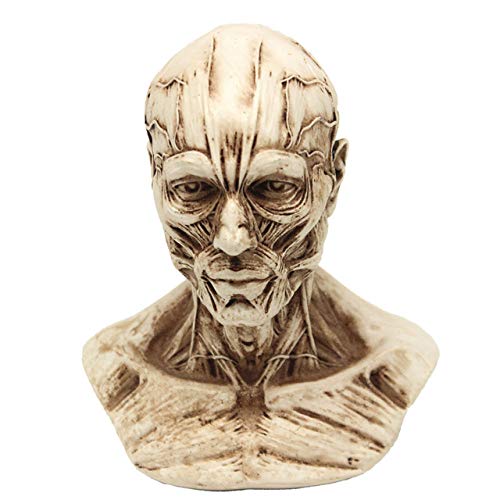 TURZJH Estatua Estatua Escultura Pequeño Retrato   Escultura de Resina de Calavera Retro Decoración Decorativa Decorativa Familia Cafe Bar, Gris
