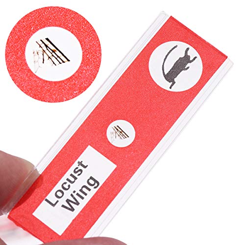 UEETEK 48 Piezas Preparado portaobjetos, 4 colores Muestra biológica Insectos animales plantas muestra, estereomicroscopios portaobjetos para niños Capacitación científica para niños