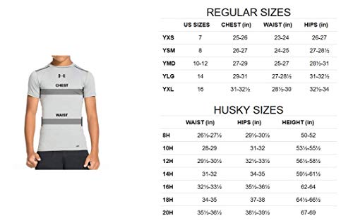 Under Armour Sudadera con Capucha y Forro Polar de algodón de la UE para niño, Niños, Sudadera cálida, 1320134-600, Granate Oscuro/Acero, XS