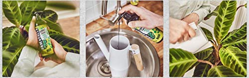 UNDERGREEN Jungle Fever Nutrientes para Plantas Verdes de Interior o terraza, Fertilizante líquido Bio, 400 ml