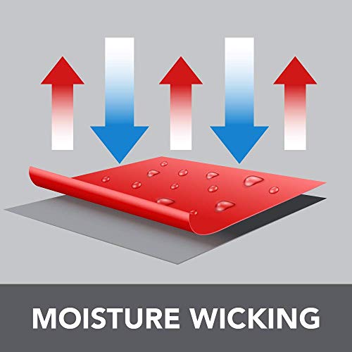 Van Heusen Big and Tall Short Sleeve Air Performance Ottoman Stripe Polo Shirt Camisa, Arándano 2 Tonos, 4XL Grandes para Hombre